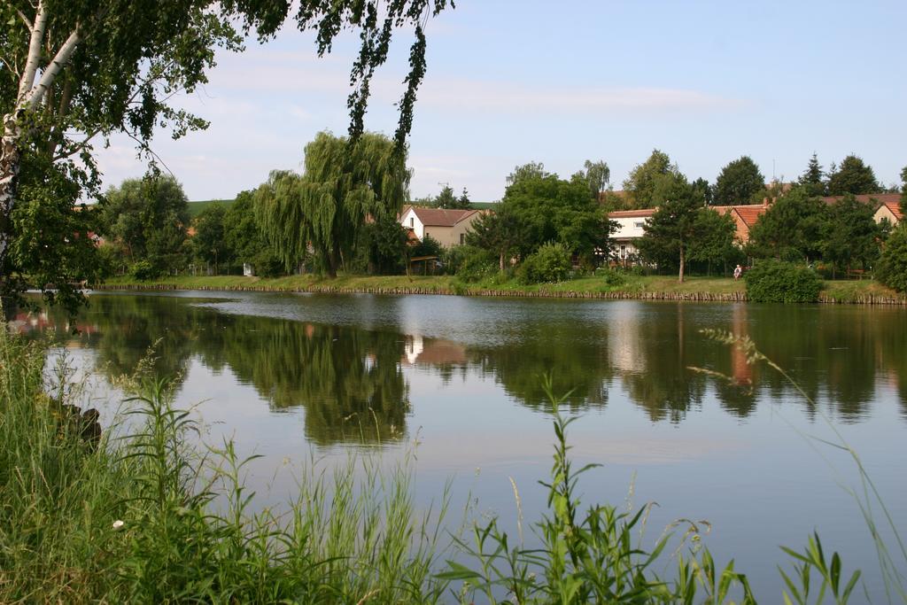 Penzion U Sklepů Penzion 3*